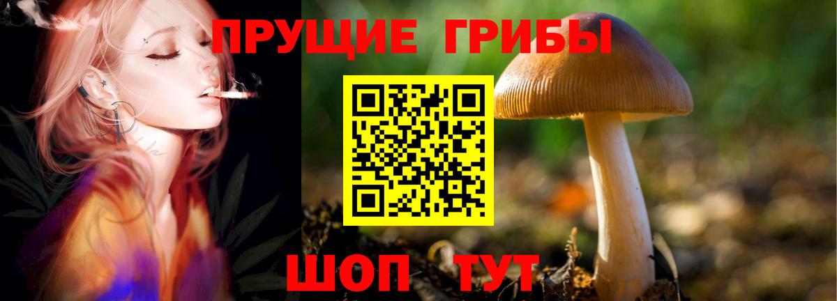 Галлюциногенные грибы Magic Shrooms  Вход с VPN  цены   Холмск 